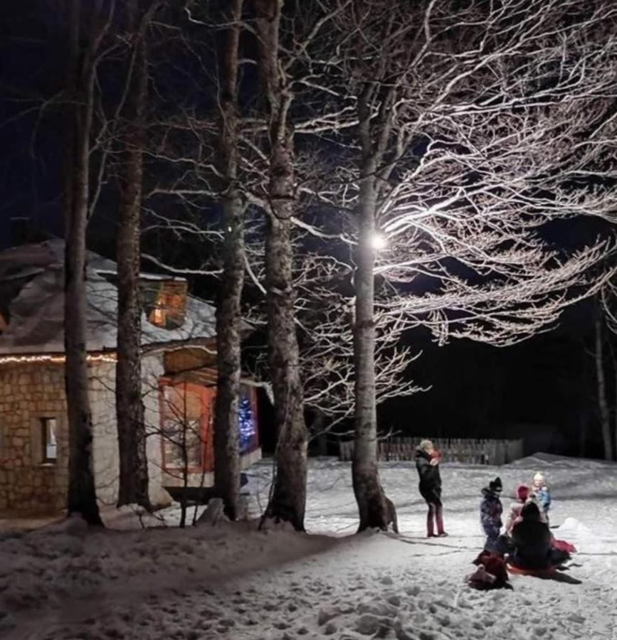 Green Forest Zabljak  Bagian luar foto