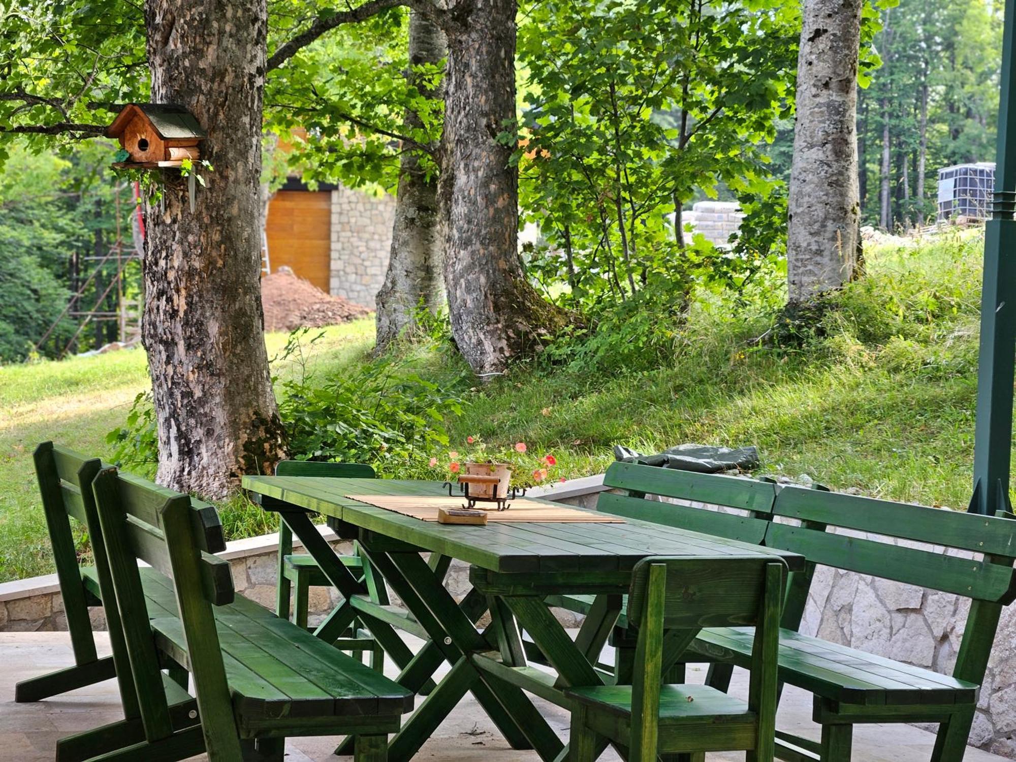 Green Forest Zabljak  Bagian luar foto