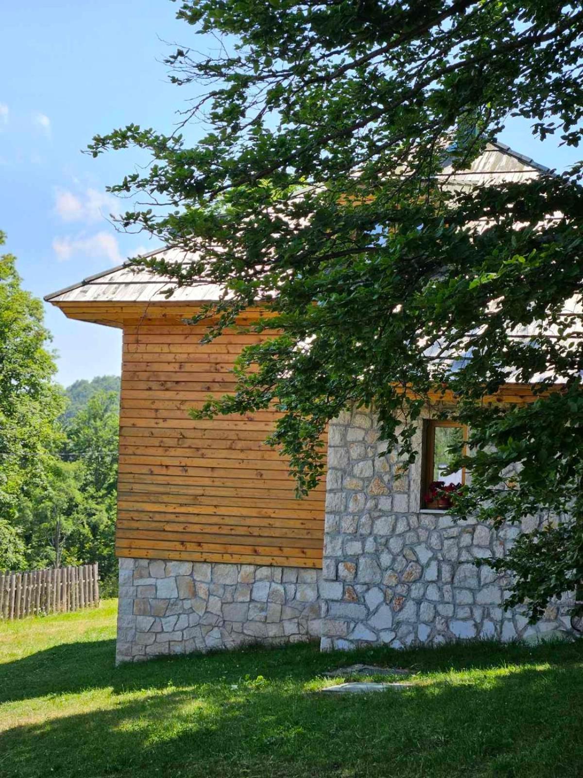 Green Forest Zabljak  Bagian luar foto