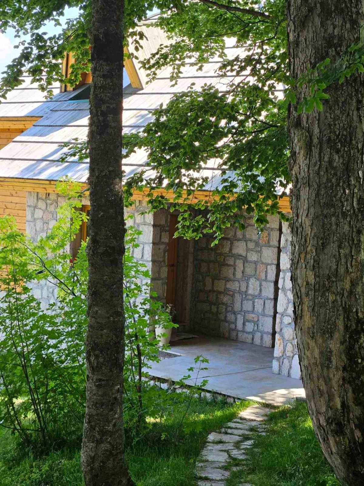 Green Forest Zabljak  Bagian luar foto