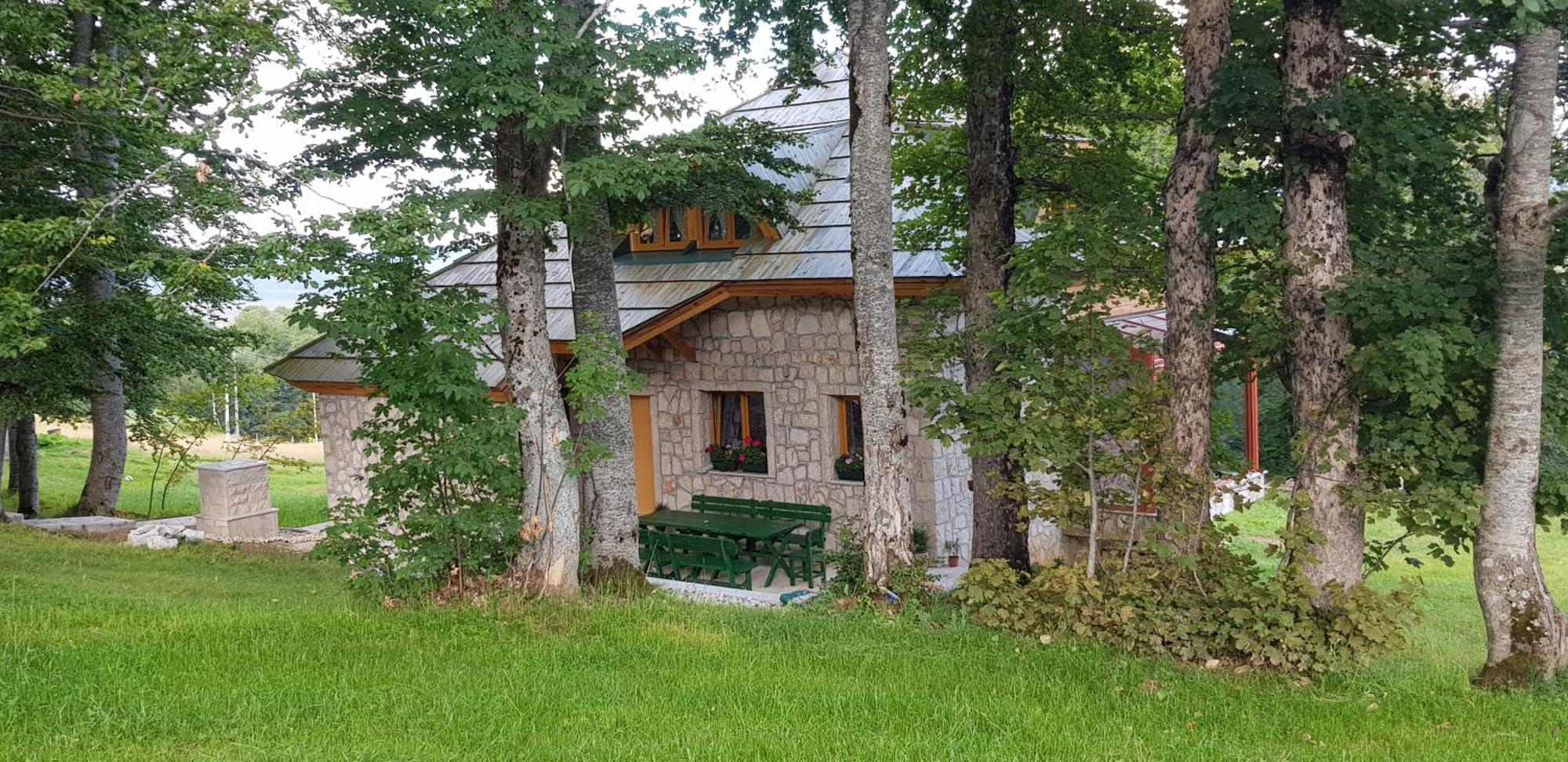 Green Forest Zabljak  Bagian luar foto